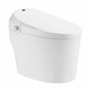 Bathroom Modern Concealed Tank Intelligent Tankless Smart Toilet