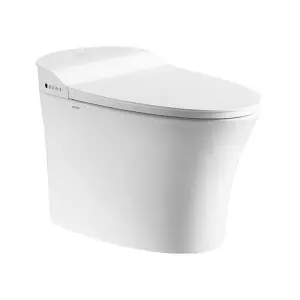 Bathroom Modern Concealed Tank Smart Bidet Toilet Intelligent, Smart Toilet Floor Mounted
