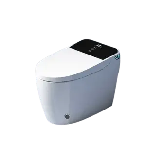 Intelligent Toilet Toilette WC Bathroom Auto Smart Toilet Water Closet Without Water tank