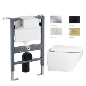 Modern Design Wall Hung Ceramic Toilet Concealed In-Wall Dual Push Button Dual Flush Plate