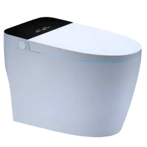 Warm air Drying Automatic Bidet Smart One Piece Toilet Bowl Ceramic Smart Toilet