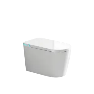 Chaozhou  Bathroom Sanitary Ware U Shape Automatic Sensor Smart Toilet