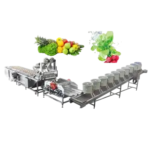 Commercial Processing Machine Fruit And Vegetable Washing