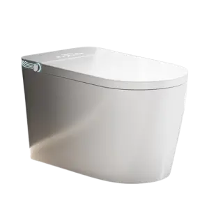 Automatic Ceramic Smart Toilet Floor Mounted Sanitary Ware Remote Control Convenient Intelligent Seat Heating