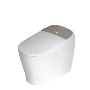 Luxury Smart Bidet Toilet Auto Open/Close Lid Heated Elongated Toilet Seat Instant Warm Water Dryer Remote Control Water Closet