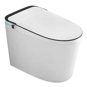 FEIDU Modern Smart Two-Piece System Intelligent Heated Toilet Seat Cover Remote Control Elongated Foot Flush Bidet S-Trap