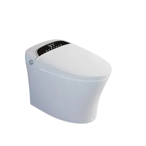 Auto Washing Automatic Water Spray Smart Toilet Electric Bidet Heated Smart Toilet Seat
