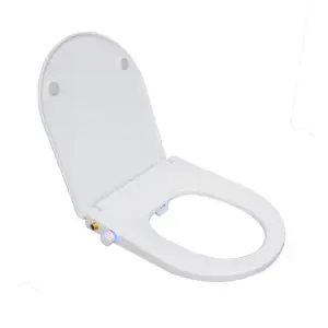 Heated Bidet Toilet Seat with Soft Close