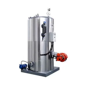 LSG Vertical 100 200 300 500 700 1000 Kgh Small Biomass Wood Pellet Coal Fired Steam Boiler