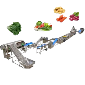 Industrial Fruit and Vegetable Washing Machine Cabbage Carrot Potato Cucumber Apple Orange Tomato Onion Ginger Washing Machine