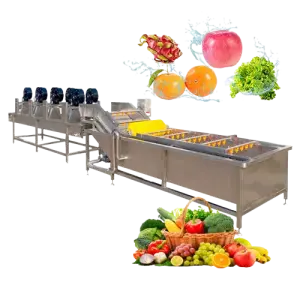 Commercial Industrial Fruit Washer Leaf Vegetable Bubble Washing Gingembre Machine for Fruits with Conveyor Machine