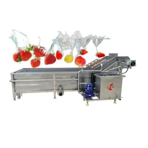 Qiangda Vegetable and Fruit Washer Bubble Washing Machine Rotary Fruit Vegetable Washing Machine