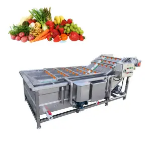 Automatic Fruit and Vegetable Washing Machine air Bubble Cleaning Machine Vegetable Washer