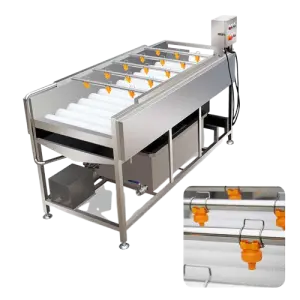 Multifunction Vegetable Tomato Parallel Roller Cleaning Machine High Pressure Spray Fruit Washing Machine TS-M100