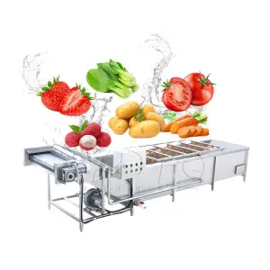 Automatic Stainless Steel Bubble Vegetable Fruit Ginger Potato Bubble Peeler Washing Peeling Cleaning Machine