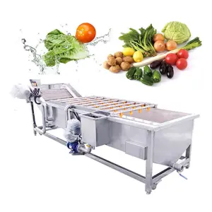 QX-300 Full Automatic Industrial brush type Vegetable Washing Machine/Fruit and Vegetable Washing Machine Equipment 100-300kg/h