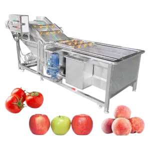 ORME Air Bubble Fish 50 Kg Washer Device Aloe Vera Leaf Cleaner Vegetable & Fruit Wash Machine for Apple