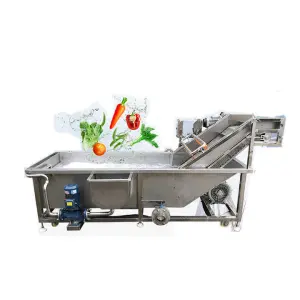 TL    Vegetable and Fruits Washing Machine /