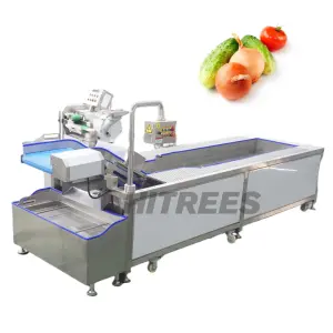 Low Noise Vegetable Fruit Vortex Washing Machines Vortex Air Bubble Washing Equipment