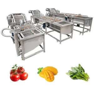 Joyshine  304 Stainless Steel Fruit Washing Machine Vegetable Bubble Washer Bubble Washing Machine