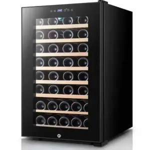 ERPed Stainless Steel Luxury Mini Electric Wine Cooler Small Electric Wine Refrigerator Red Compressor Vertical Household Hotel