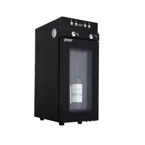 2 Bottles Cooler Automatic Wine Dispenser