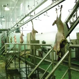 Sheep Slaughter Line/slaughterhouse Equipment