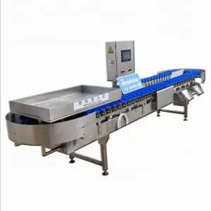 Meat Processing Machinery Food & Beverage ,aquatic Products Processing Plant