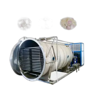 TCA Vegetables and Fruits Automatic Fruit Freeze Drying Machine/freezer Dryer /freeze Drying Machine Industrial Freeze Dry