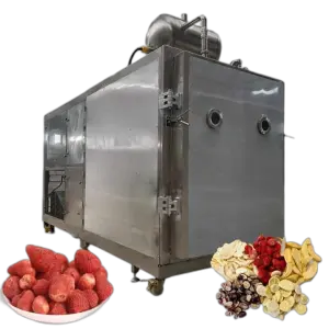 Freeze Dryer Machine Frozen Freezeilizer Meat Food Dry Vacuum Fruits Dryer Lyophilisation Industrial Lyophilizer
