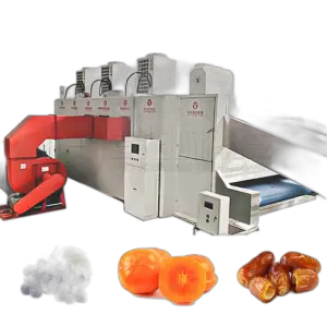 Industrial Fruit Flour Drying Production Line 25 Tons Automatic Hawthorn Green Plum Grapes Grapefruit Belt Drying Equipment