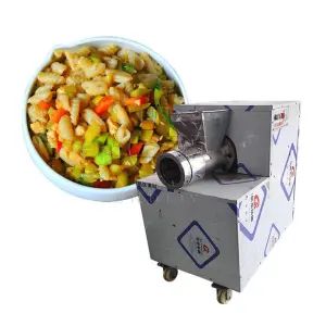 Industrial Pasta Manufacturing Machines Pasta Macaroni Making Machine Silver Chapati Making Machine Restaurant