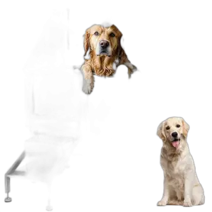 201 Stainless Steel Dog Bathing Machine with Left Door Grooming Tub for Bathroom Use for Cats Small Animals