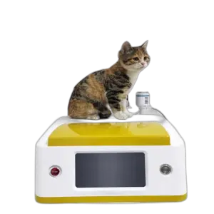 Veterinary Physical Therapy 980Nm Diode Laser Animal Physiotherapy Machine for Cat and Dog