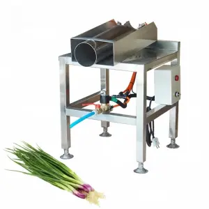 Spring Onion Peeling Green Onion Skin Blowing Shallot Peeler Machine