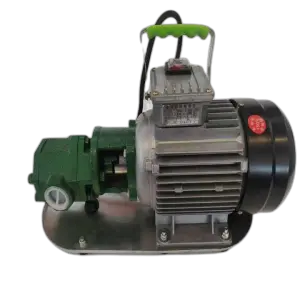 220V Diesel Self-priming Gear Pump Portable Portable Pump 12V Small Electric Sump Pump