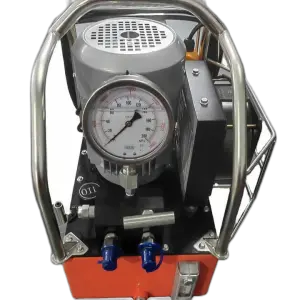 Ultra-high Pressure Electric Pump 220V1500-2500bar