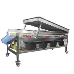 Calibrate Machine Fruit Sorting