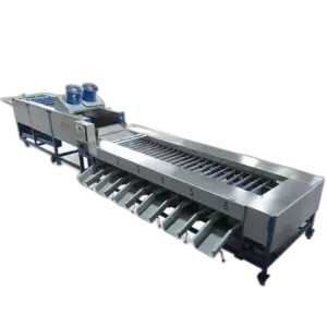 Pear Tomato Lemon Grading Sorting Machine