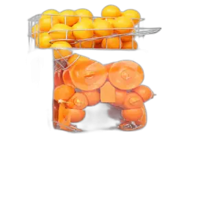 Professional Industrial Fruit Juicer Lemon and Orange Press Squeezer with Core Motor Component