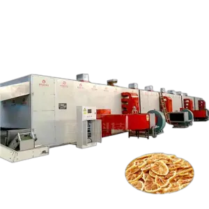 Dried Fruit Dryer Machine Automatic Fig Passion Fruit Lemon Drying Equipment