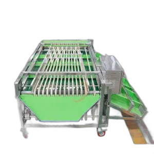 LONKIA Fresh Lemon Vegetable Fruit Size Sorting Machinery Grading Sorting Machine