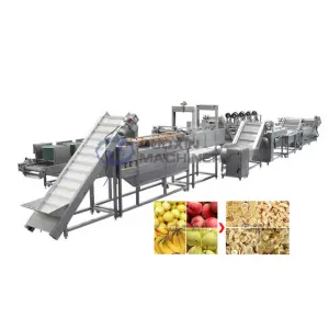 Automatic Vegetable Fruits Drying Plant mango Plantain Lemon Kiwifruit Dryer Washing Slicing and Drying Processing Machine