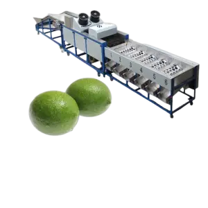 OEM Orange Grading Machine Citrus Waxing Selecting Machine Lemon Washing Sorting Machine