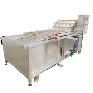 Carrot Potatoes Cleaning Bubble Fruit Washing Solution Line Purifier Ultrasonic Vegetable Washing Machine