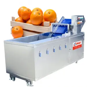 Fruit Washing Machine Vegetable Bubble Washer Small Vegetable Washing Machine Washing Oranges Machine