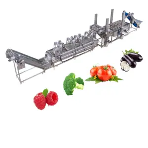 Design Automatic Dragon Fruit Washing Machine air Bubble Cleaning Machine Vegetable Washer
