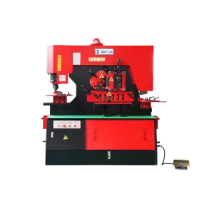 Multifunctional Hydraulic Punching and Shearing Machine Metal Punching Iron Steel Cutting Machine