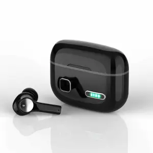 Invisible Ear & Hearing Products Small and Convenient Hearing Aids