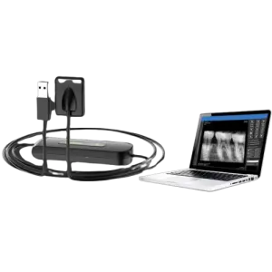 High-Definition Digital Sensor for Intraoral Imaging Dental or Veterinary Clinic RVG X-Ray Oral Therapy Equipment & Accessory